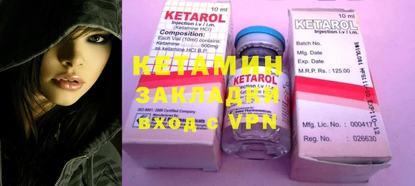 индика Осинники