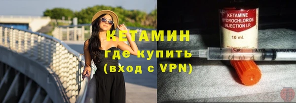 индика Осинники