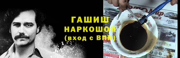 крисы Няндома