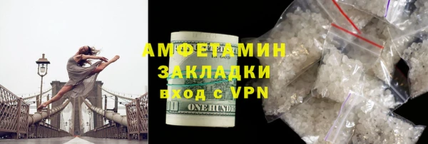 индика Осинники