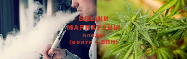 дурь Щигры