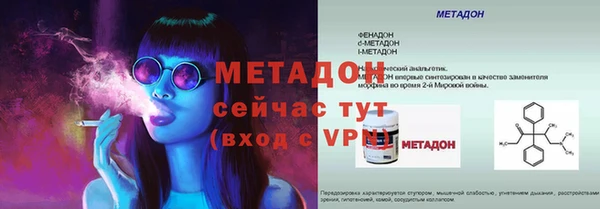 индика Осинники