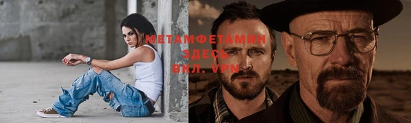 индика Осинники