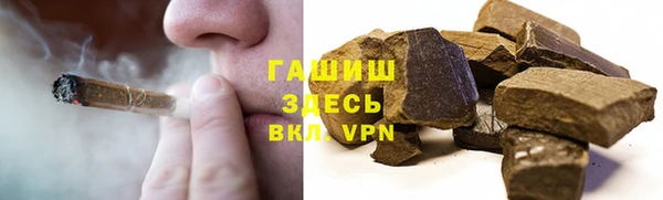индика Осинники