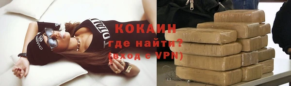 индика Осинники
