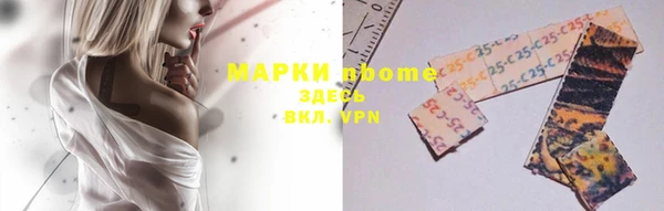 индика Осинники