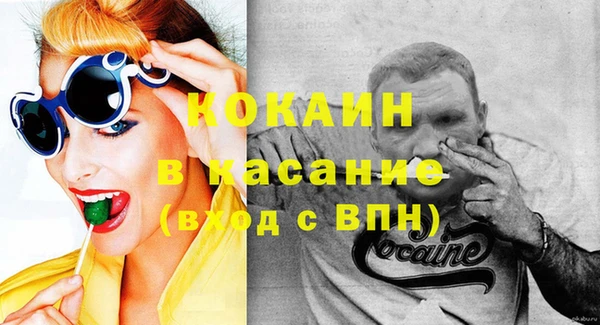 индика Осинники