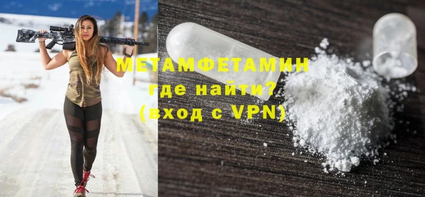 индика Осинники