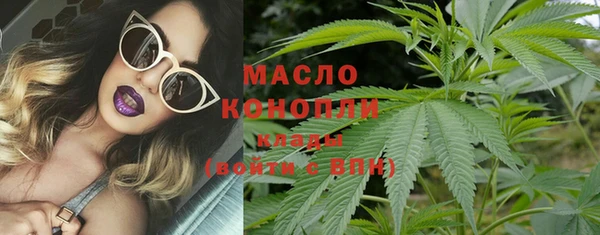 крисы Няндома