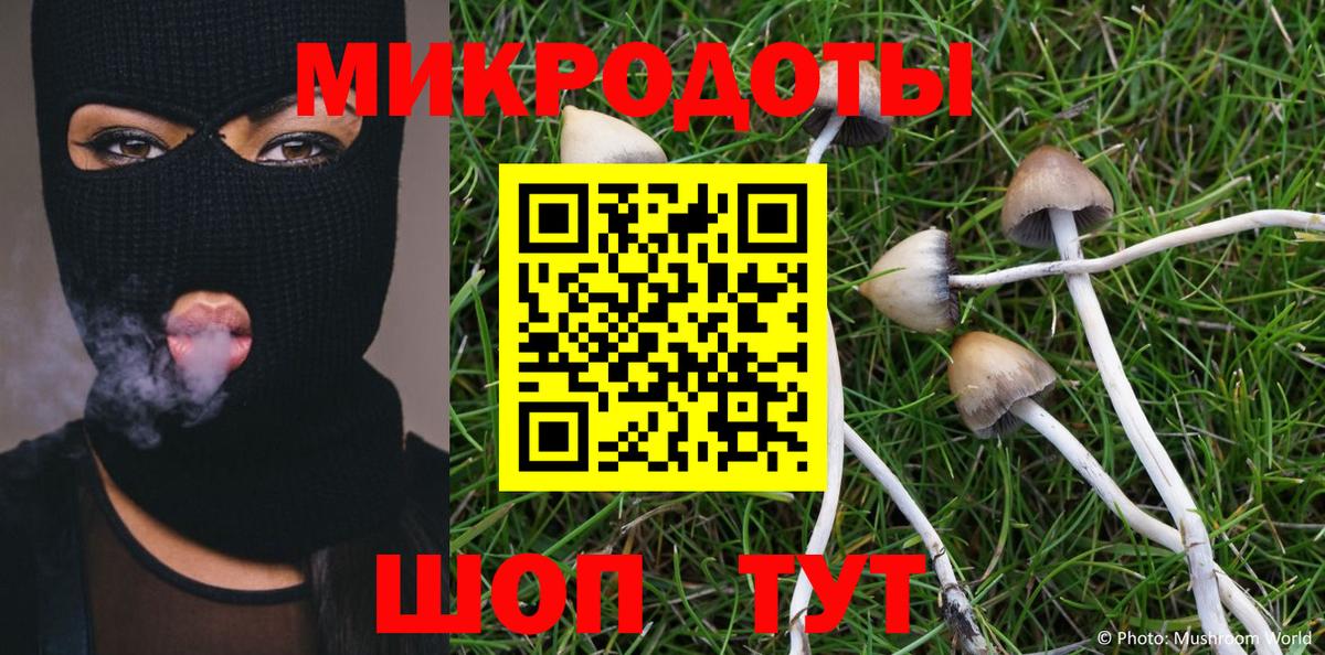 Гашиш Новоалександровск