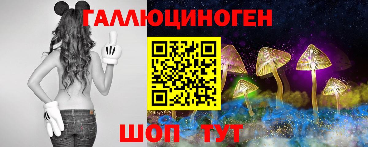 купить  цена  Вход с VPN  Псилоцибиновые грибы мухоморы  Новоалександровск  Галлюциногенные грибы Psilocybine cubensis 